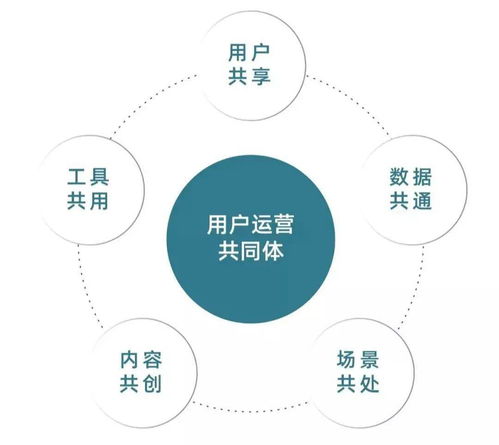 從今往后有兩種企業(yè),有錢的買流量,有才的造流量
